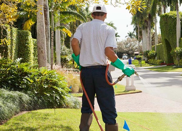 About Walker KY Pest Control